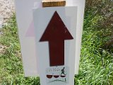 Chianti-2 2016 - 139.jpg